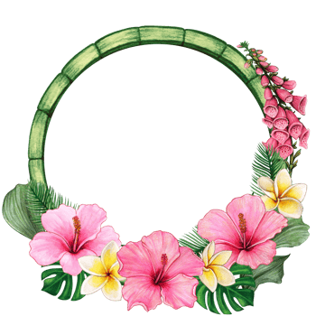 watercolor tropical summer frame png