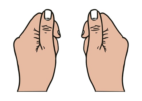 Thumb Finger hand anatomy vector image illustrations