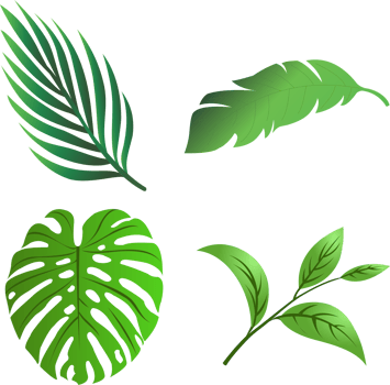 Leaf tree PNG