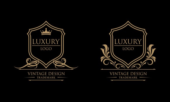 Vintage decorations elements and frames gold color vector