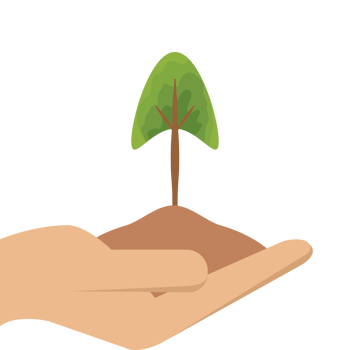 One Hand Holding Tree Plant Life Green Nature png