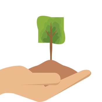 One Hand Holding Tree Plant Life Green Nature png