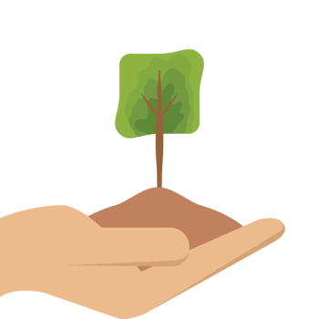 One Hand Holding Tree Plant Life Green Nature png