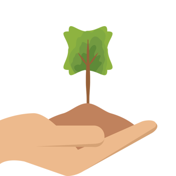 One Hand Holding Tree Plant Life Green Nature png