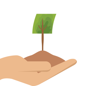 One Hand Holding Tree Plant Life Green Nature png