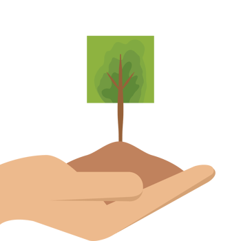 One Hand Holding Tree Plant Life Green Nature png