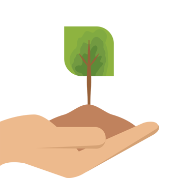 One Hand Holding Tree Plant Life Green Nature png