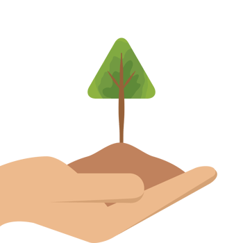 One Hand Holding Tree Plant Life Green Nature png