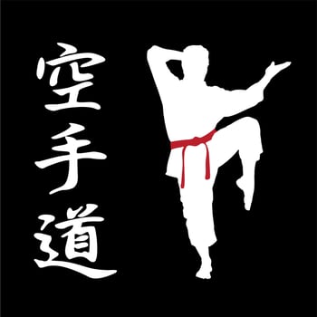 logos and symbols about karate vector