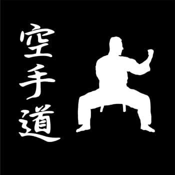 martial art silhouette vector illustration