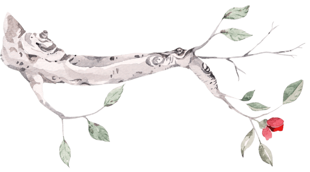 Hand drawn watercolor of twigs and leaves for autumn.Tree Branch. Suitable for nature style invitation card background decoration. png