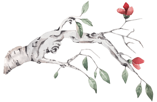 Hand drawn watercolor of twigs and leaves for autumn.Tree Branch.Suitable for nature style invitation card background decoration. png
