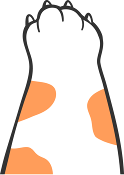 cute kitten cat paw hand drawing doodle png