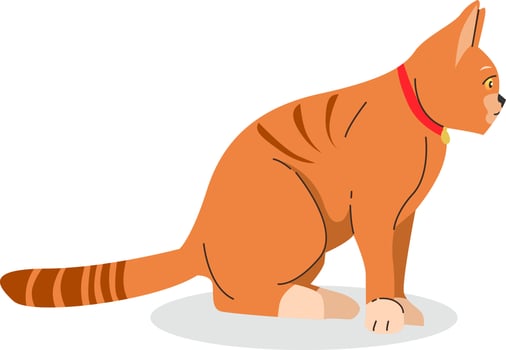 Orange cute cat animal flat illustration design vector