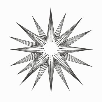 Star Hand drawn Star icon sign - Brush drawing calligraphy Star black Stars symbol - Star cartoon vector illustration Pro Vector