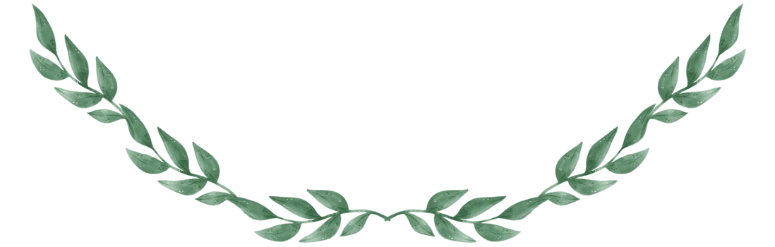 watercolour green leaf foliage wreath frame hand drawn illustration png