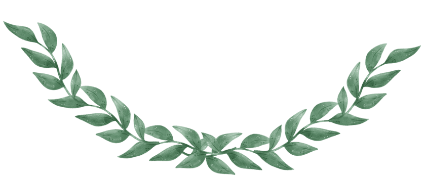 watercolour green leaf foliage wreath frame hand drawn illustration png
