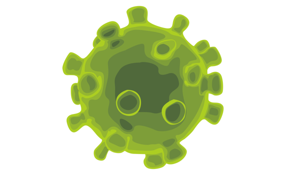 Corona Virus On Transparent Background png