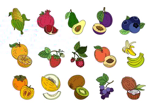 Exotic fruit set doodle Vector color illustration isolated on white background