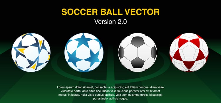 Soccer ball vector variation