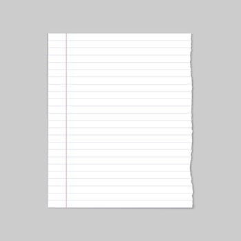 Ripped blank white line school paper, vector