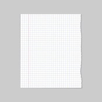 Ripped blank white line school paper, vector
