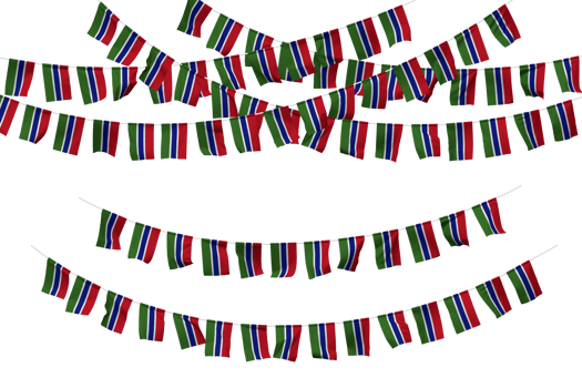 The Gambia Flag Bunting Decoration on The Rope, Jhandi, Set of Small Flag Celebration, 3D Rendering png