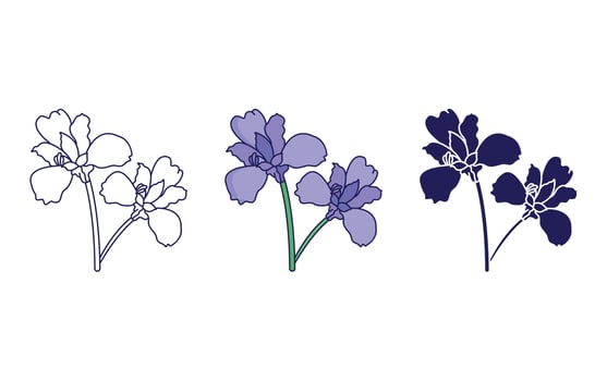 Iris flower vector icon