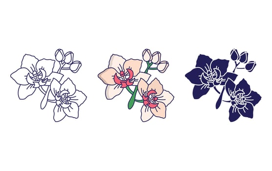 Queen of the Night flower vector icon