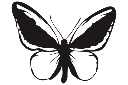 Black Butterfly On Transparent Background png