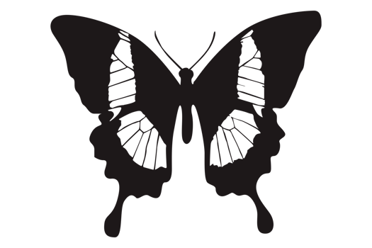 Black Butterfly On Transparent Background png