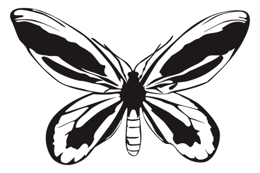 Black Butterfly On Transparent Background png