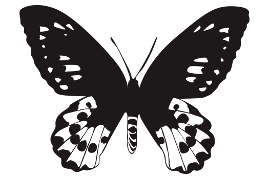 Black Butterfly On Transparent Background png