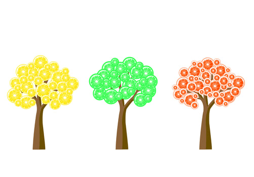 Set abstract trees with orange, lime, lemon slices. For posters, logos, labels, banners, stickers, product packaging design, etc. Vector illustration