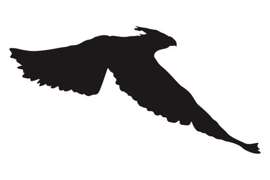Animal - Flying Eagle Silhouette png