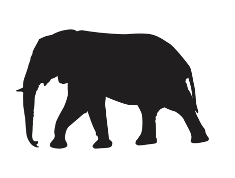 Animal - Elephant Silhouette png