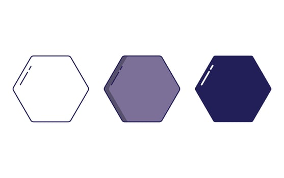 Hexagon Geometry Shape vector icon