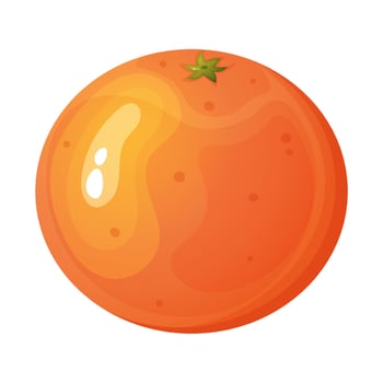 Cartoon style orange isolated on white background. vector