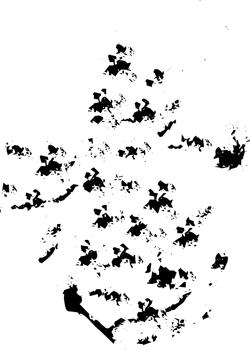 Rustic grunge texture with grain and stains. Abstract noise background. PNG graphic illustration with transparent background.