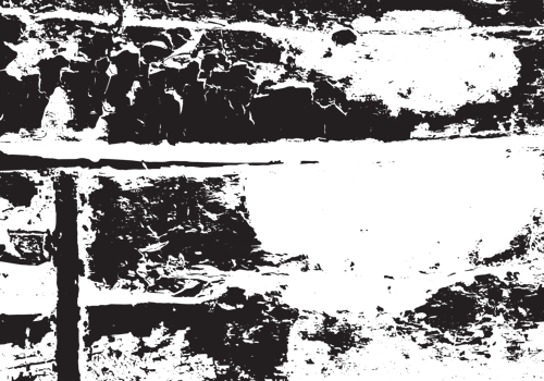 Rustic grunge texture with grain and stains. Abstract noise background. PNG graphic illustration with transparent background.