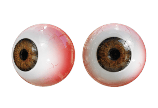3d rendering human eye organs perspective view png