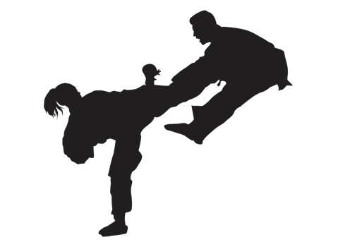Silhouette of a Karate Kick png