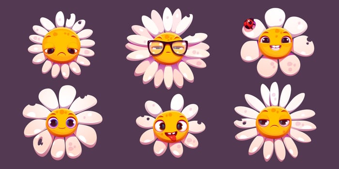 Daisy chamomile face emotions, flower bitten petal vector