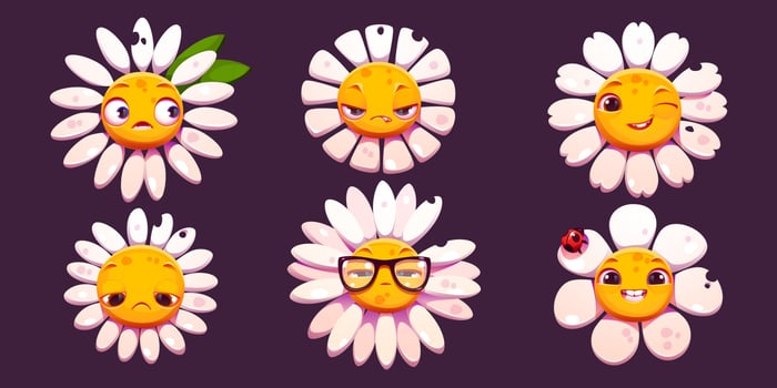 Daisy chamomile face emotions, flower bitten petal vector