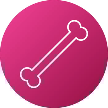 Bone Icon Style vector