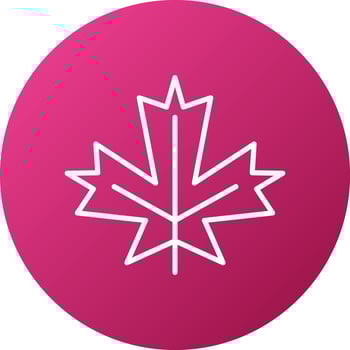 Maple Leaf Icon Style vector