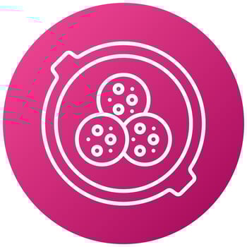 Falafel Icon Style vector