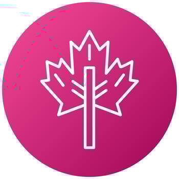 Maple Leaf Icon Style vector