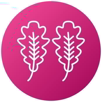 Oak Leaf Icon Style vector