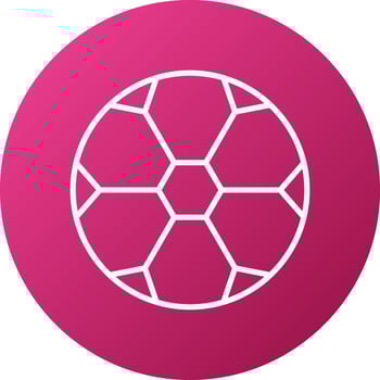Football Icon Style vector